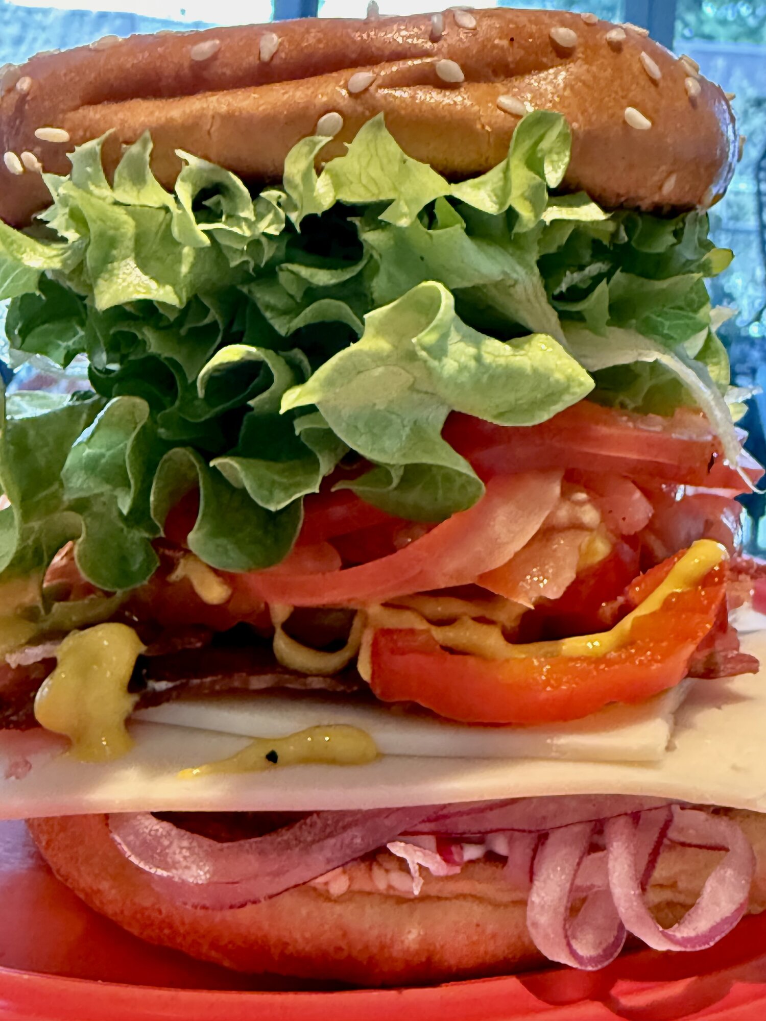 Tall sesame-bun veg sandwich stacked with leaf lettuce, tomato, mustard, Swiss cheese, and red onion